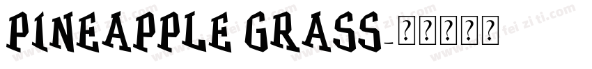 Pineapple Grass字体转换